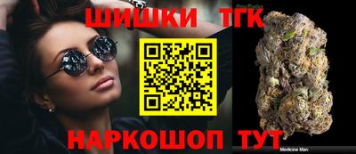 мдпв Гусев