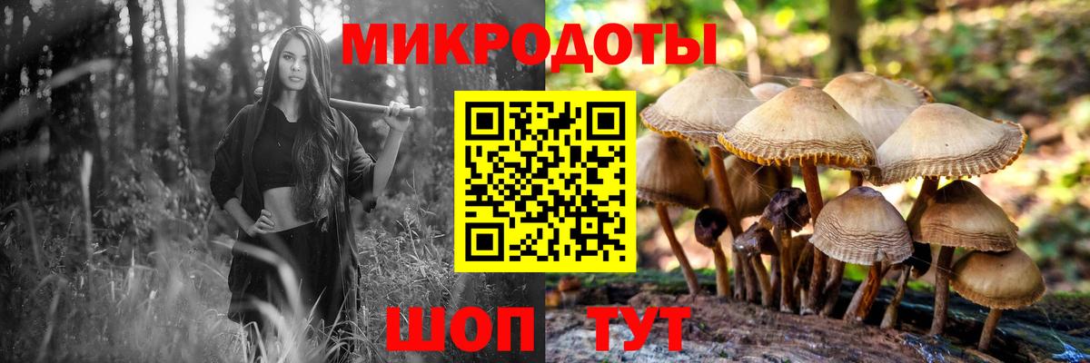 Галлюциногенные грибы прущие грибы  Вход с VPN  Кунгур  Псилоцибиновые грибы ЛСД 